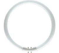 Osram Lumilux T5 Circulaire 40W 4000K