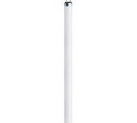 Tube fluorescent OSRAM G5 8 W blanc froid forme de tube 1 pc(s) Blanc G
