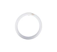 Tube fluorescent rond G10q 32W 840 MASTER TL-E 928026384070