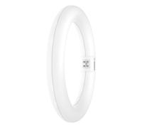 Osram Tube LED T9C EM 22 – 11W (équiv. 22W) 1320 lm 4000K G10q en forme d'anneau 312×212 mm 1 pc(s)