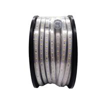 Tube lumineux LED 50 m 370 W 40 000 lm 5000 K sans câble de raccordement