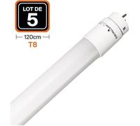 Tube néon LED - EUROPALAMP - T8 120cm 18W - Blanc neutre 4500K - Verre - Lot de 5