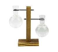 Tubes en Verre de Laboratoire pour | Support de Pot de Fleurs en Verre - Vase pour de Style Laboratoire, Station de Propagation Transparente, Tube à essai, Support hydroponique, Pot de