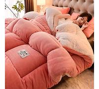 TUCVZVO Couverture Polaire Epaisse Hive, Cachemire Réversible Couette,Double Super Épaisseur, Couette 2 Personne Laine,Couverture Polaire Double Face, Couette d'hiver,E,220X240cm(5KG)