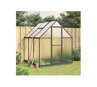 vidaXL Serre avec cadre de base Anthracite 169×169×202 cm Aluminium