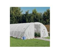 Vidaxl Serre Avec Cadre En Acier Blanc 80 M² 20x4x2 M