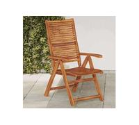vidaXL Chaises de jardin, lot de 2, pliantes et réglables, en bois massif d'acacia
