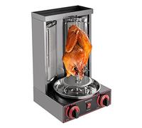 TuliperMood Barbecue à gaz vertical en acier inoxydable avec 2 brûleurs pour GPL