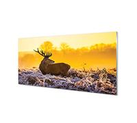Tulup Crédence Adhésive 100x50cm Dosseret en Verre Trempé Sécurité Forêt Murale Murale Chambre Photo de Vie - Sortie cerf Soleil d'hiver