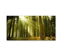 Tulup Tirages sur toile - art mural - tirages sur toile - thème d'image - 100x50 cm - Paysage - Vert - Forêt De Pins