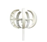 Turbine éolienne verticale 5000W, 10kw, 8kw, 48V, 24V, 12v, 5 pales, générateur avec contrôleur de Charge Mppt(White,24V)