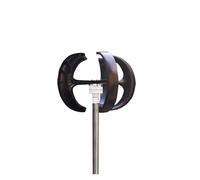Turbine éolienne verticale 5000W, 10kw, 8kw, 48V, 24V, 12v, 5 pales, générateur avec contrôleur de Charge Mppt(Black,24V)