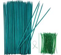 Tuteur en bois vert, tuteur en bambou, piquets naturels pour plantes