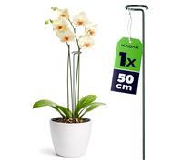 Tuteur KADAX 50 cm, 1 pièce, tuteur en acier, support pour orchidées, tuteur pour stabiliser les tiges et les fleurs, tuteur pour orchidées