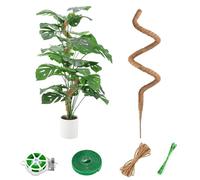 Tuteur Monstera 125 cm, Tuteur Plante en Fibre de Coco Naturelle, Support Solide pour Grandes Plantes Grimpantes d’Intérieur, Tuteur Coco Flexible pour Monstera, Philodendron et Pothos