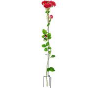 Tuteur pour rosiers - Tuteur métallique - Hauteur 140 cm - Pour parterre de fleurs - Tuteur