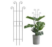Tuteur pour Support en Métal pour la Croissance Verticale des | Tuteurs De Vignes Grimpantes pour Monstera, Tomate, Fleurs, Lierre, Pots, Jardin et Extérieur
