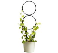 Tuteur pour Support Murale Réglable Résistant aux Intempéries | Treillis de Support pour d'Intérieur pour Extérieur Maison Mariage Jardinage Légumes Fleurs Orchidées Roses