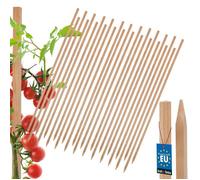 25 Pièces Tuteur Tomate - KOTARBAU® - Bois de Hêtre - 150cm - Naturel - Poteau Bois
