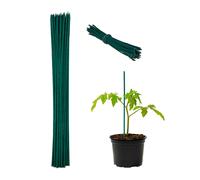 Tuteur tomate Lot 150 Tuteur plante 30 cm Support plante Tuteur plantes vertes