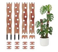 Tuteur Treillis Monstera 2 Lots De Tuteurs en Bois Extensibles Découpés | Treillis De Extensible Pour Pothos Vert Panaché Et Lierre Salon Balcon Jardin Cour