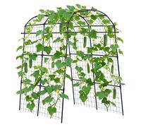 Tuteur VEVOR, treillis, support pour plantes grimpantes avec filet, arche de jardin, treillis, arche métallique pour plantes grimpantes d'extérieur, pois, haricots, courgettes, tomates, courges, fleur