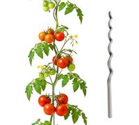Tuteurs en spirale pour tomates Relaxdays, lot de 20, hauteur : 150 cm, Ø 5 mm, métal galvanisé, tuteurs pour tomates, support pour tomates, argent