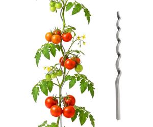 Tuteurs en spirale pour tomates Relaxdays, lot de 20, hauteur : 150 cm, Ø 5 mm, métal galvanisé, tuteurs pour tomates, support pour tomates, argent