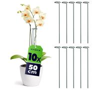 Tuteurs KADAX 50 cm, lot de 10, tuteurs en acier, supports pour orchidées, tiges de soutien pour stabiliser les tiges et les fleurs, tiges pour orchidées