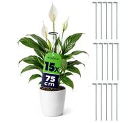 Tuteurs KADAX 75 cm, lot de 15, tuteurs en acier pour fleurs, supports pour plantes d'intérieur, tuteurs métalliques pour stabiliser les tiges et les fleurs