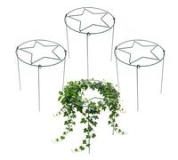 Tuteurs Pivoine 4 Pièces Métal Robuste Réutilisable | Cages et Supports pour de Jardin pour Rose Tomate Dahlia Poivron Fruit Monstera Aloès Intérieur