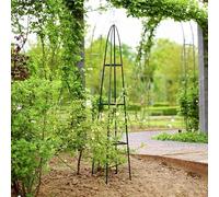 Tuteurs pour tomates, concombres et plantes grimpantes - Tuteurs pour jardins