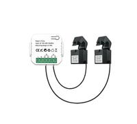 Tuya 2 Way WiFi Meter Bidirection avec Clamp App Monitor Solar Production et Consumed Power AC110V 240V(2CT)