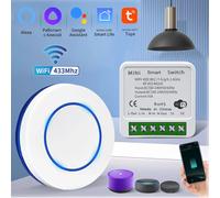 Tuya - interrupteur intelligent WiFi, 16a, RF, 433Mhz, télécommande sans fil, bouton-poussoir, commande vocale avec Alexa Google Assistant Alice 16A Receiver