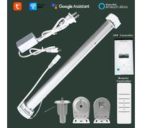 Tuya WiFi Mini motoriser rouleau aveugle moteur vie intelligente App obturateur ombre moteur pour 38mm Tube voix contrôle intelligent domotique 1 Motor kit and R1