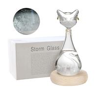 Tuzsocr Verre Tempête Station Météorologique, Bouteille de Prévisions Météo avec Socle en Bois, Baromètre à Cristaux en Forme de Chat Égyptien, Cadeau Original pour Anniversaires Féminins (Blanc)