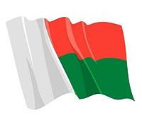 U24 Autocollant pour voiture Motif drapeau de Madagascar 14 x 10 cm