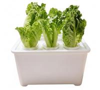Uanqfegy Système de Culture hydroponique - 6 dosettes de Jardin d'herbes aromatiques d'intérieur avec Pompe, kit démarrage Complet pour légumes, laitue, Basilic, Blanc