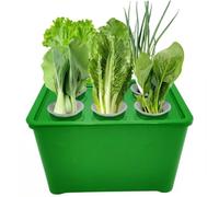 Uanqfegy Système de Culture hydroponique - 6 dosettes de Jardin d'herbes aromatiques d'intérieur avec Pompe, kit démarrage Complet pour légumes, laitue, Basilic, Vert