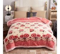 UGFJMN Couverture Pondérée De Peluche King Size, Couverture Épaisse,Soyeux Doux Et Chaud, 2 Plis Recouvert De Lit De Raschel Réversible pour l'hiver d'automne(200x230cm,4kg)