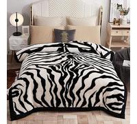 UGFJMN Couverture Pondérée De Peluche King Size, Couverture Épaisse,Soyeux Doux Et Chaud, 2 Plis Recouvert De Lit De Raschel Réversible pour l'hiver d'automne(200x230cm,4kg)