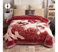 UGFJMN Couverture Pondérée De Peluche King Size, Couverture Épaisse,Soyeux Doux Et Chaud, 2 Plis Recouvert De Lit De Raschel Réversible pour l'hiver d'automne(200x230cm,4kg)