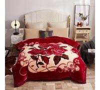 UGFJMN Couverture Pondérée De Peluche King Size, Couverture Épaisse,Soyeux Doux Et Chaud, 2 Plis Recouvert De Lit De Raschel Réversible pour l'hiver d'automne(200x230cm,6kg)