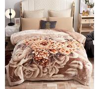 UGFJMN Couverture Pondérée De Peluche Queen Size, Couverture Épaisse,Soyeux Doux Et Chaud, 2 Plis Recouvert De Lit De Raschel Réversible pour l'hiver d'automne(180x220cm,3kg)