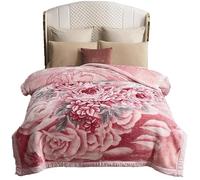 UGFJMN Couverture Pondérée De Peluche Queen Size, Couverture Épaisse,Soyeux Doux Et Chaud, 2 Plis Recouvert De Lit De Raschel Réversible pour l'hiver d'automne(180x220cm,3kg)