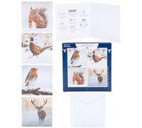 UK Greetings Boîte de 12 cartes de Noël caritatives en 4 motifs d'animaux d'hiver britanniques