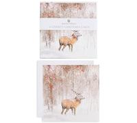 UK Greetings Lot de 6 cartes de Noël caritatives pour lui/elle/ami - Motifs de renne peintre