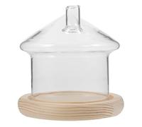 ULDIGI Vitrine Décorative en Verre Transparent Base en Bois Naturel, Dôme Amovible Forme Maison Champignon, Cloche pour Fleurs Stabilisées, Décoration Intérieure Créative pour Bureau
