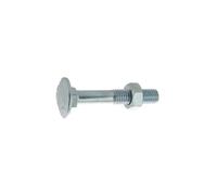 Ultima visser fixer coller Boulon pour bois tête ronde - Blanc