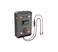 Ultrason Anti-Rongeurs 12V pour Voiture - Lumière Clignotante Éloigne Rats Souris & Fouines